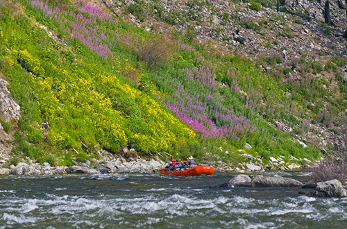 Idaho whitewater rafting on the Middle Fork Salmon River